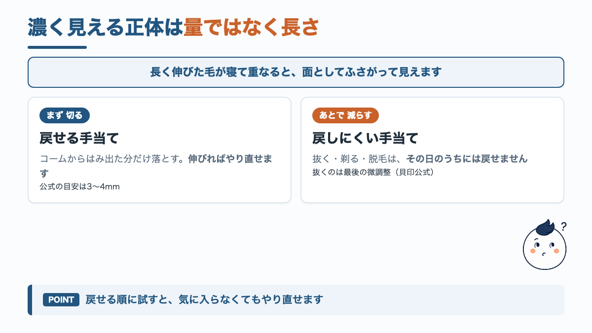 眉毛が濃く見える原因が毛の量ではなく長さと重なりにあることを示した結論の図解
