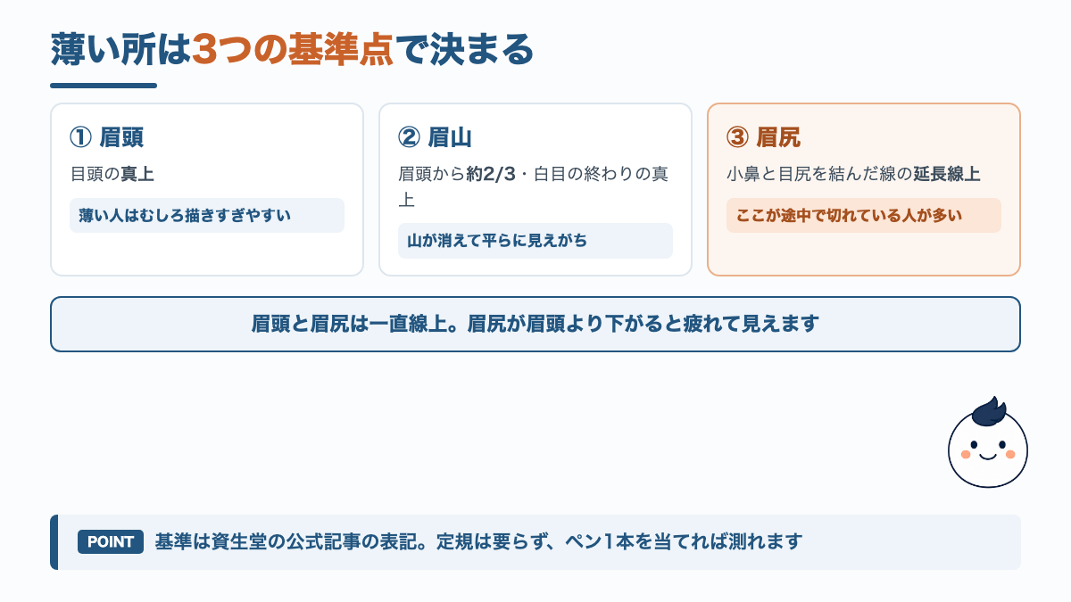 眉頭・眉山・眉尻の位置を目頭や小鼻を基準にして決める方法を示した図解